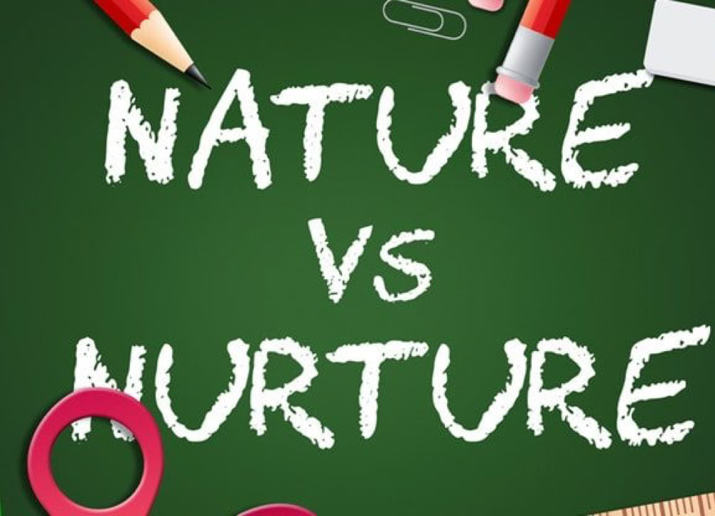 Nature vs Nurture chalkboard